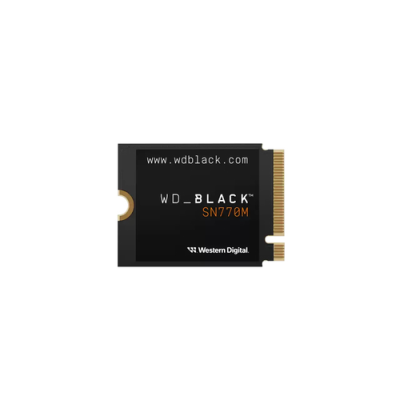 WESTERN DIGITAL SSD BLACK INTERNO SN770M M2 2230