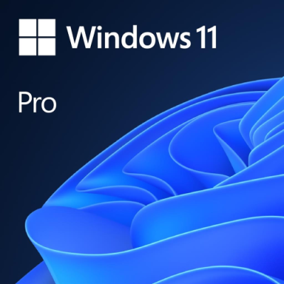 Windows Pro 11 64Bit Eng DSP