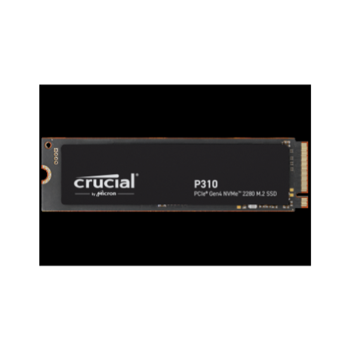 crucial-ssd-p310---500gb-m2-pcie-gen4x4-r7100---w6000---bulk