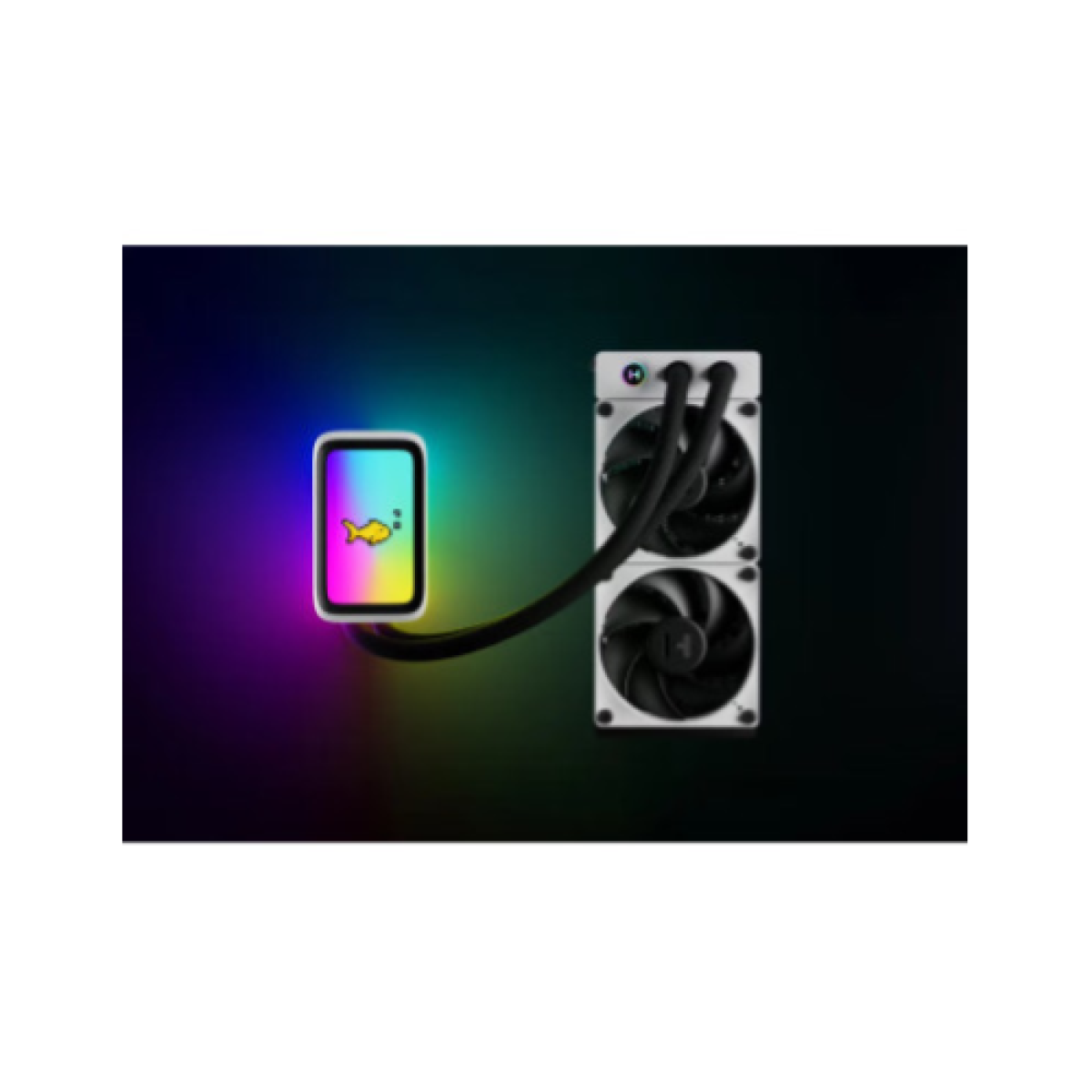 hyte-diss-liquido-thicc-q60-display-ips-5-blkwht-hub