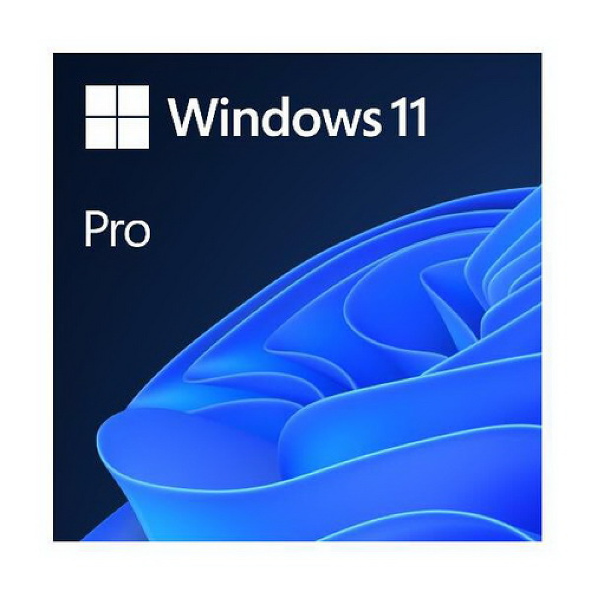 sw-win-11-pro-64bit-1pk-fqc-10538-it