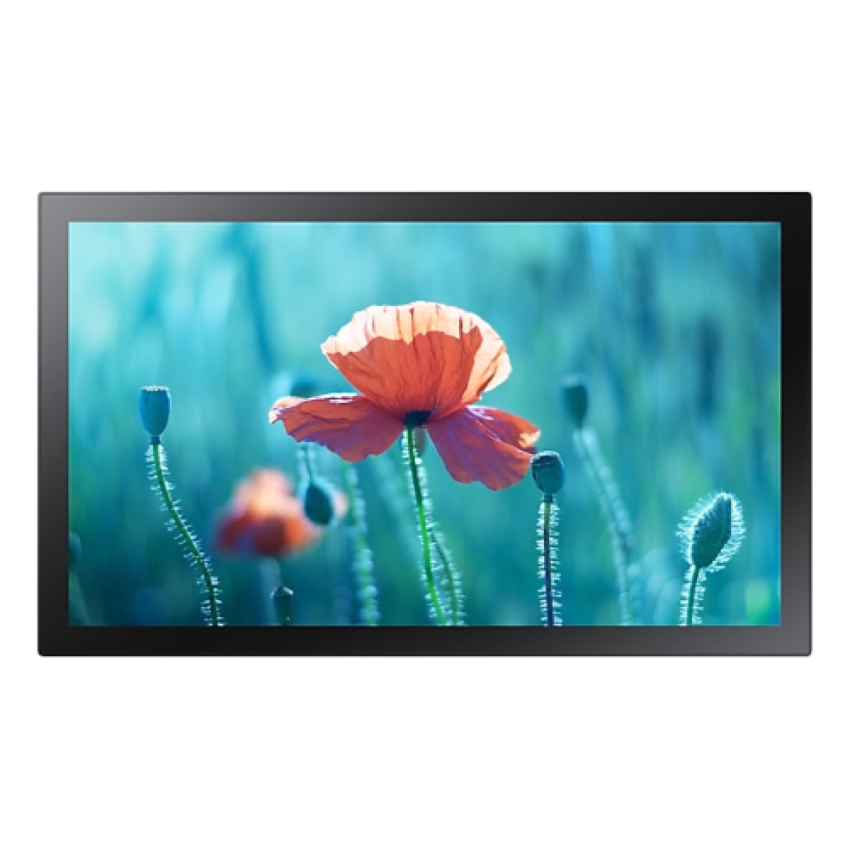 monitor-lfd-samsung-qb13r-tm-edge-led-13