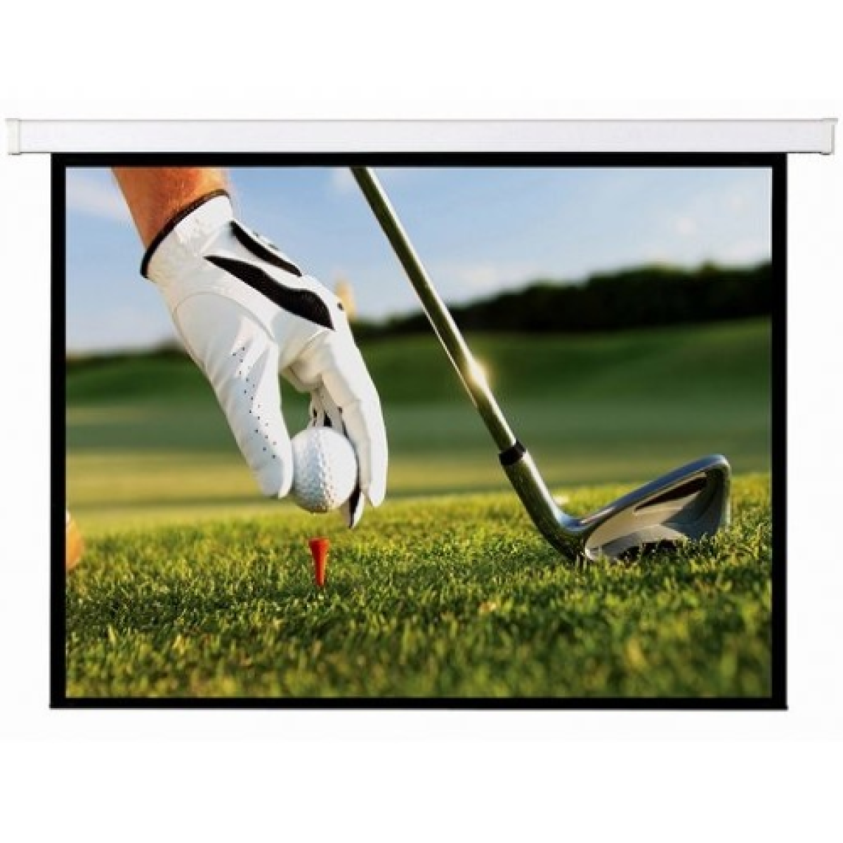 telo-provis-400x300-motorizzato-43-motorizzato-retro-nero-e43-4080