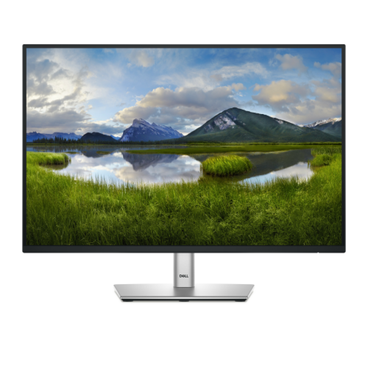 dell-monitor-24-led-ips-169-fhd-8ms-300cdm-hdmidpvga-p2425-3-anni-gar-incl